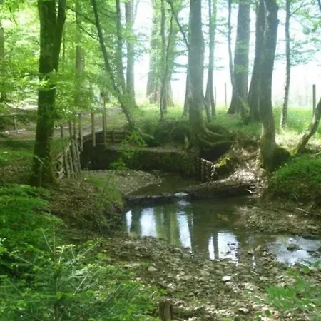 Oasis Of Peace With Enchanting Views